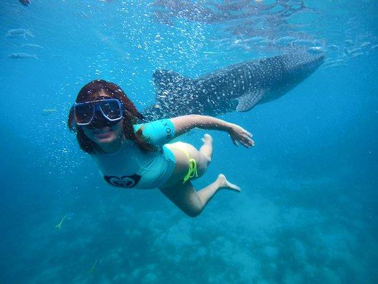 Trip N Trek Cebu Adventures