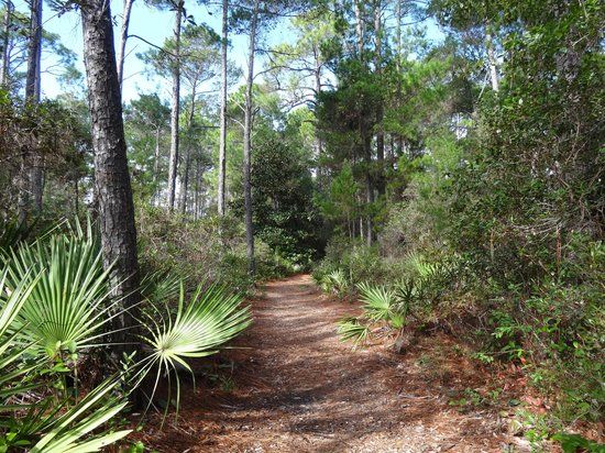 Oak Tree Nature Park