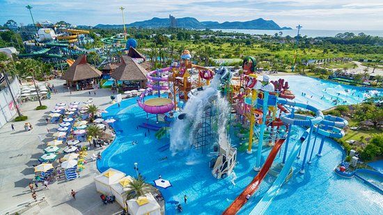 Cartoon Network Amazone