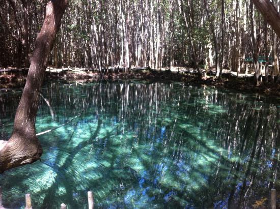 Reserva Ecologica El Corchito