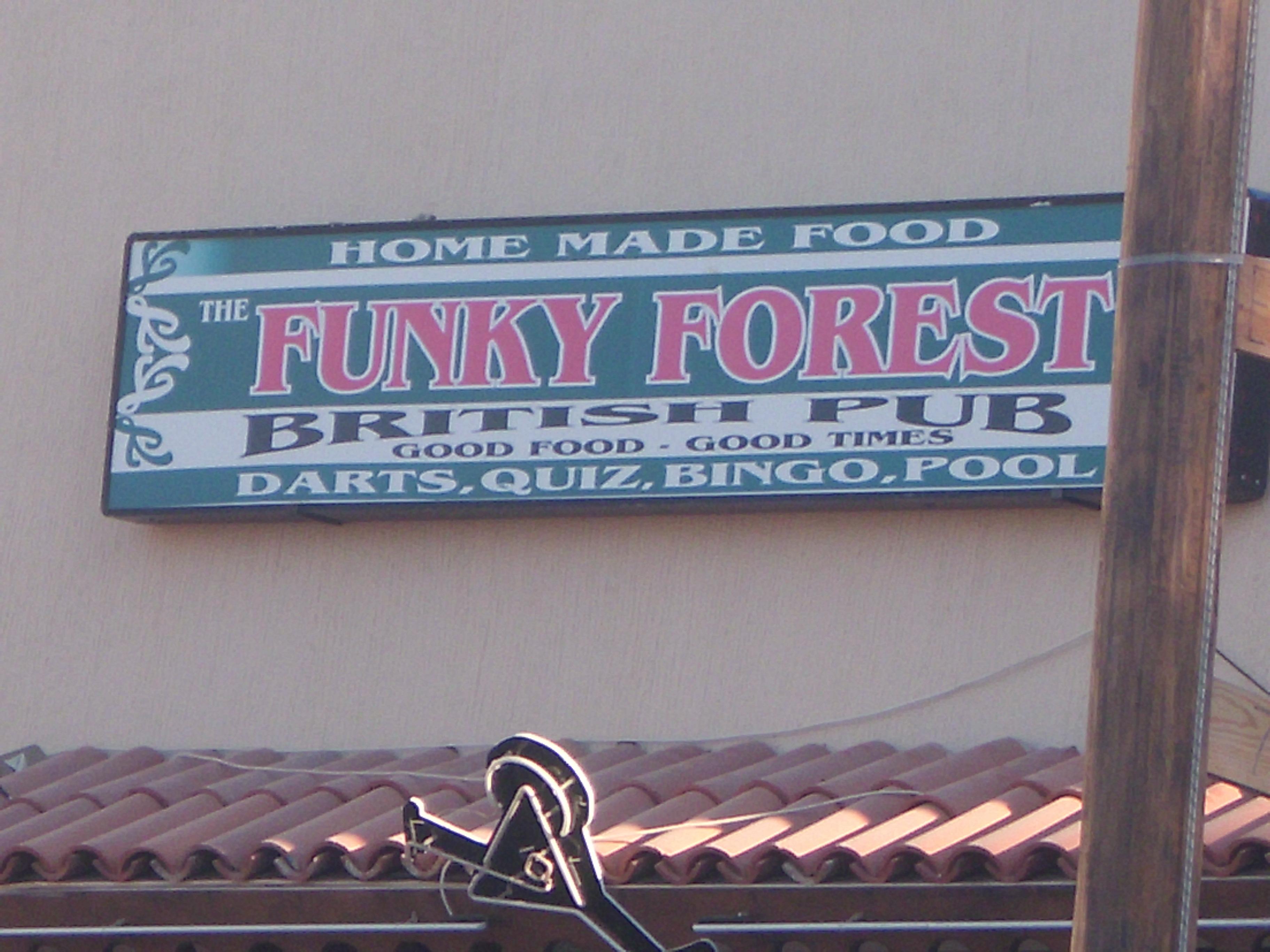Dolphin Bar