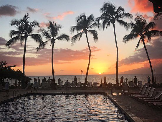 The Beach Club Restaurant & Bar