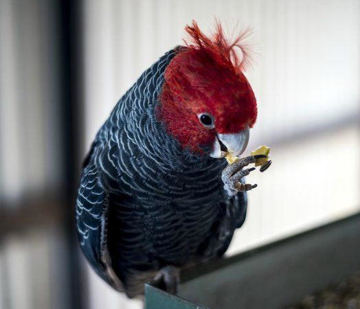 12 Mile Bird Park