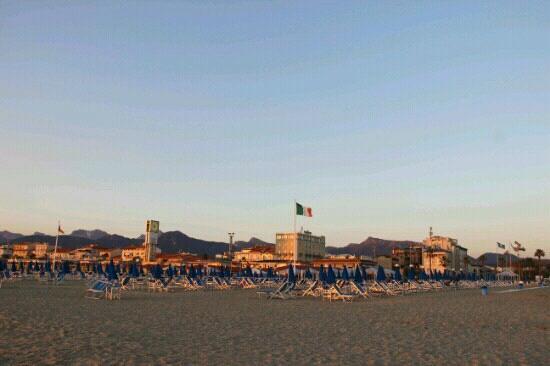 Il Pellicano