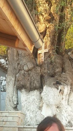 Monastery of St. Athanasius