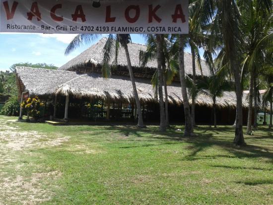 La Vaca Loka