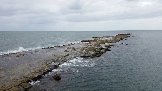 Port Noarlunga Reef