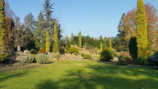 Karaca Ağaç Parkı