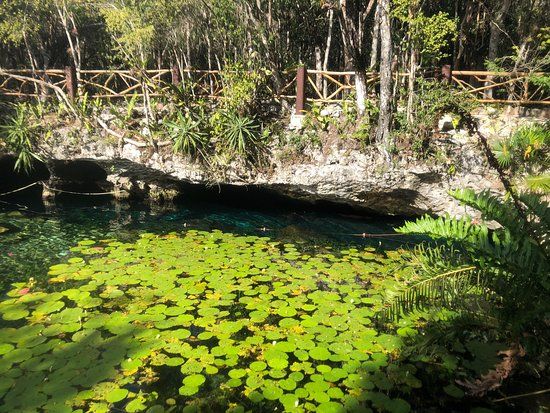 Cenote Nicte-ha