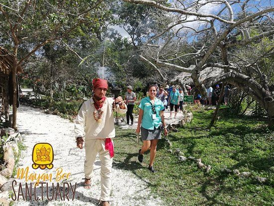 Mayan Bee Sanctuary