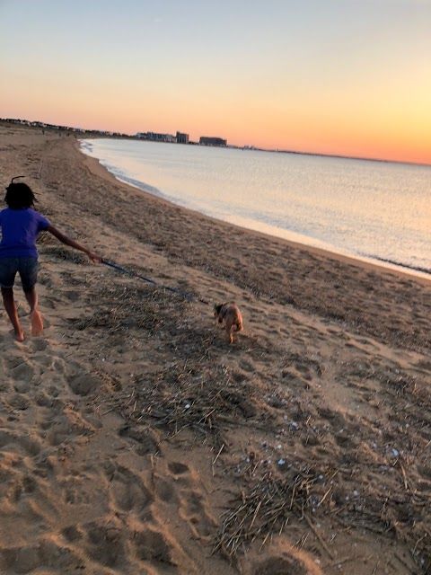 First Landing Beach