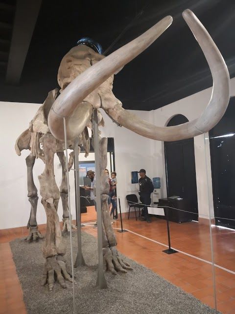Museo Arqueologia