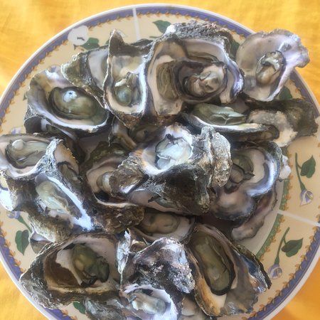 Salo-Salo