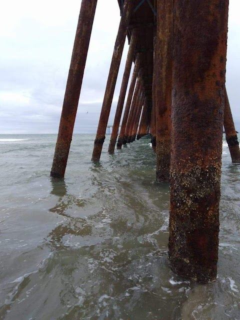 Muelle De Rosarito