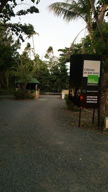 Las Cabezas De San Juan National Park