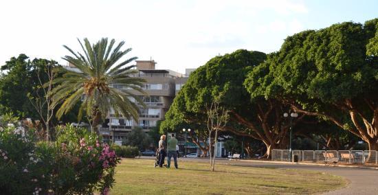 Kikar Ha-Medina