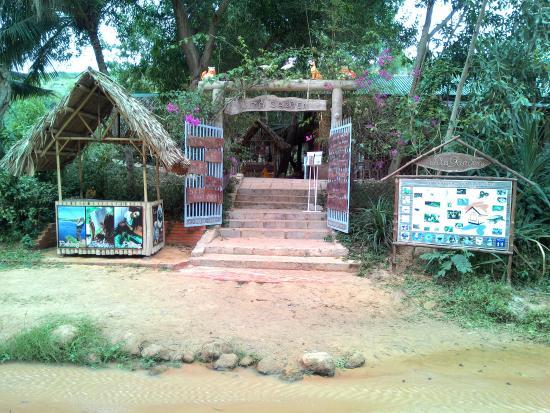 Vita Garden Mini-Zoo