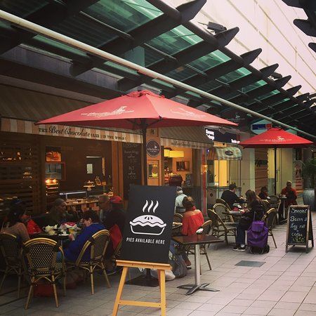 Best Chocolate Cake in the World