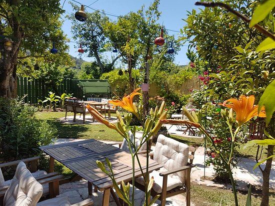 Orchard Restaurant