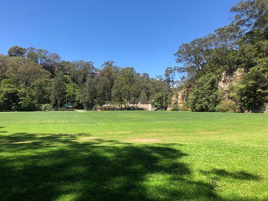 Gore Creek Reserve and Lane Cove Bushland Park Walk