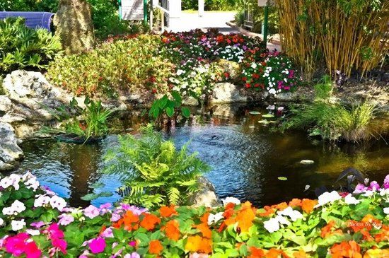 Florida Botanical Gardens