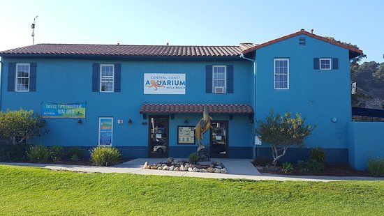 Central Coast Aquarium