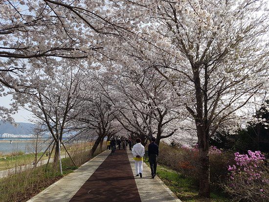 Macdo Saengtae Park