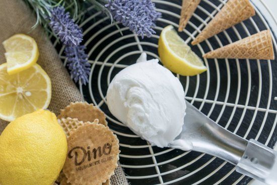 Dino - Naturalmente Gelato