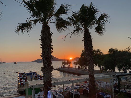 Sofi's Restaurant & Beach