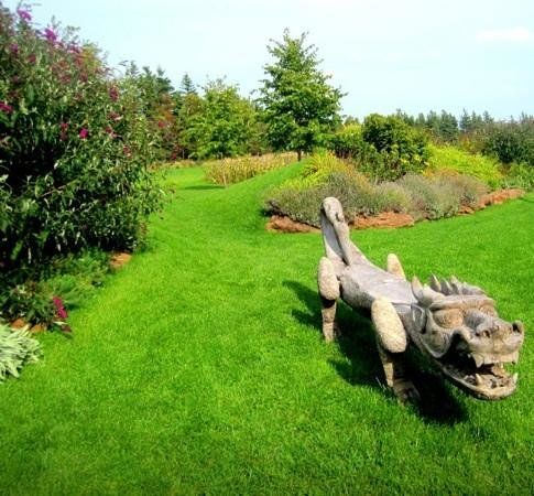 The Dunes Studio Gallery & Cafe