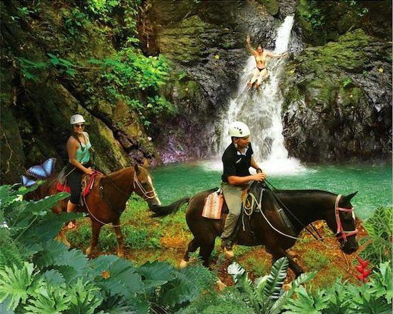 Vista Los Suenos Horseback Riding