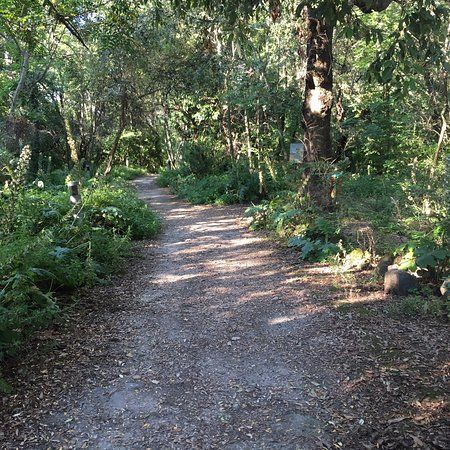 Pineta Park Mirtina