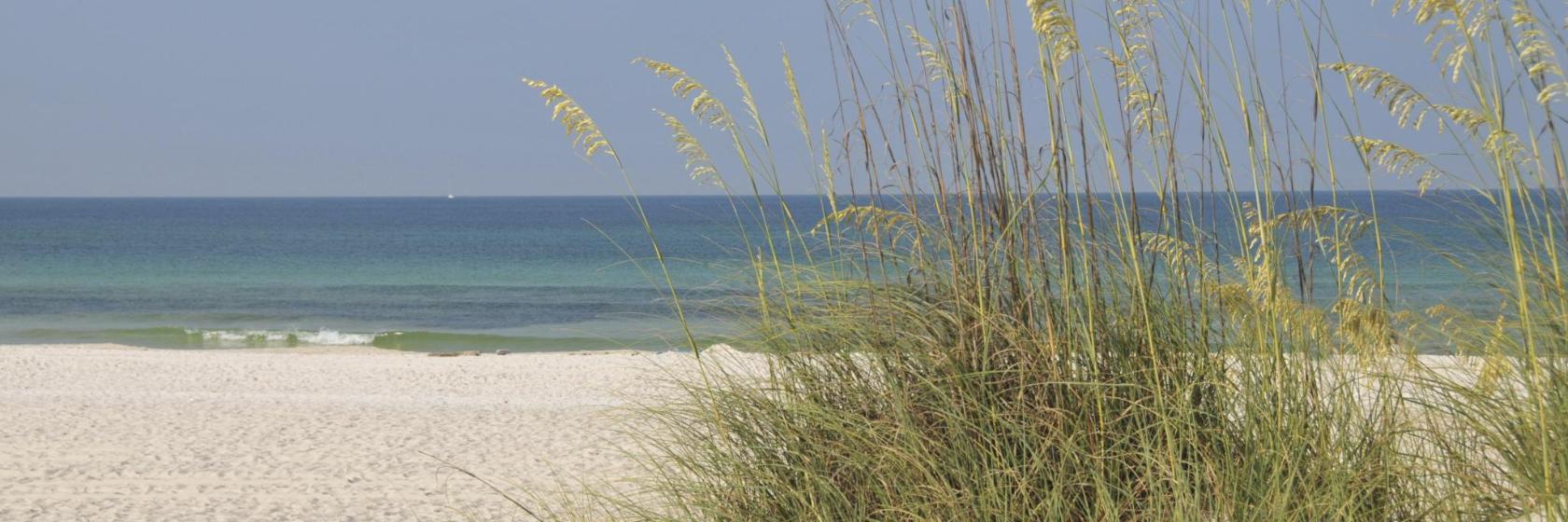 Shell Island