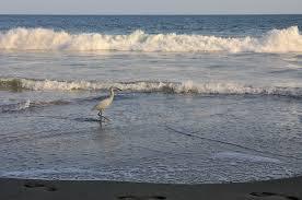 Malibu Beach