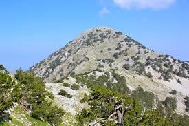 Maja e Qorres