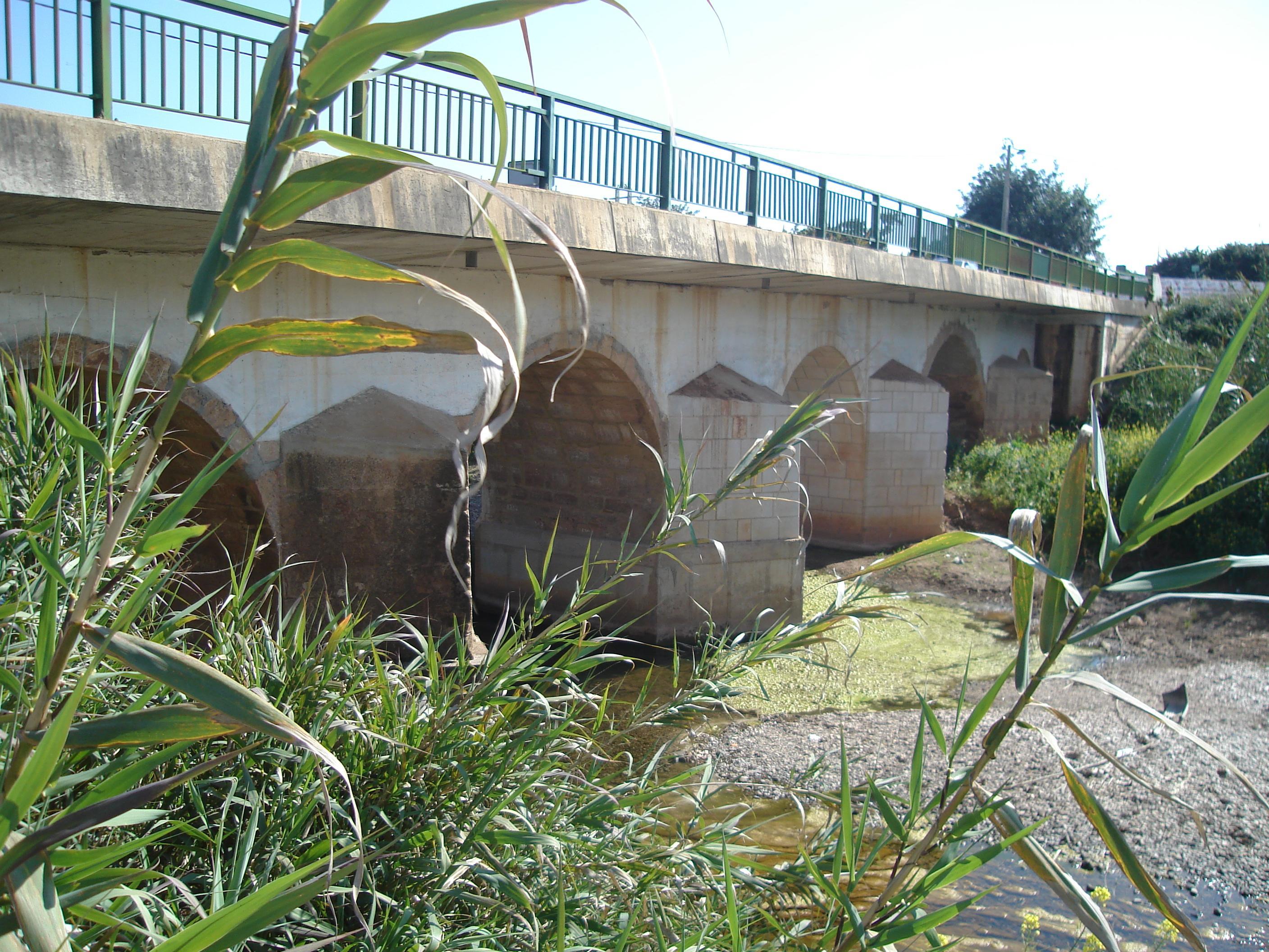 Ponte Barao