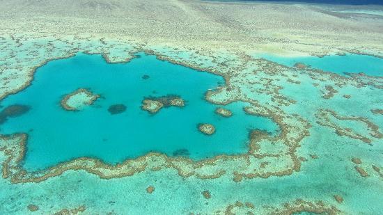 Heart Reef
