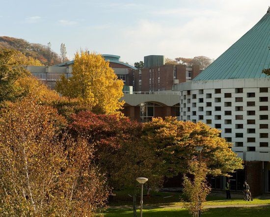 University of Sussex