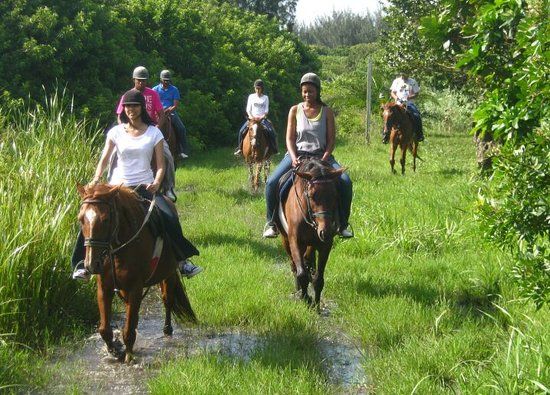 Horseback Beach Rides