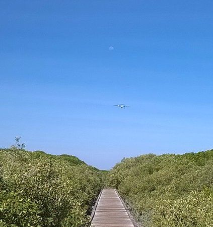 Streeter's Jetty