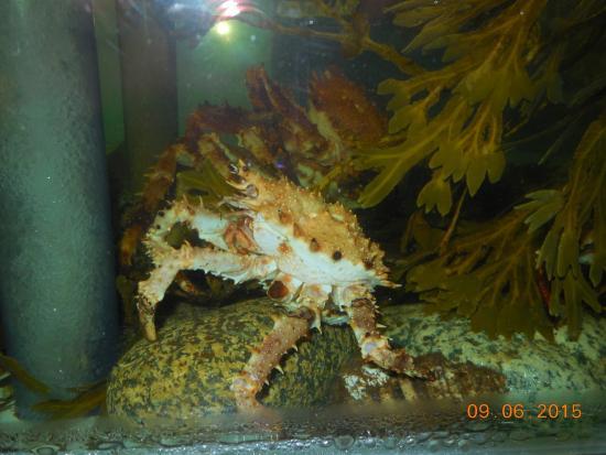 Explore the Ocean World Oceanarium