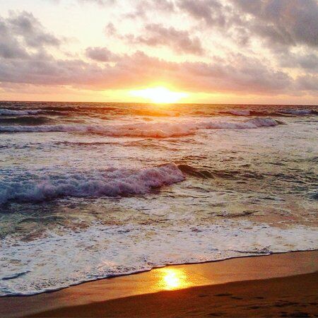 Sunny's Beach Ocean View Restaurant